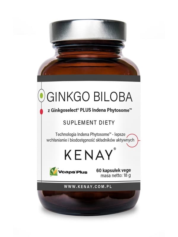 Ginkgo Biloba z Ginkgoselect® – 60 kaps.