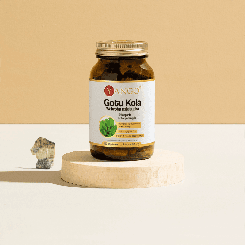 Gotu kola – ekstrakt 10% saponin triterpenowych – 100 kaps.