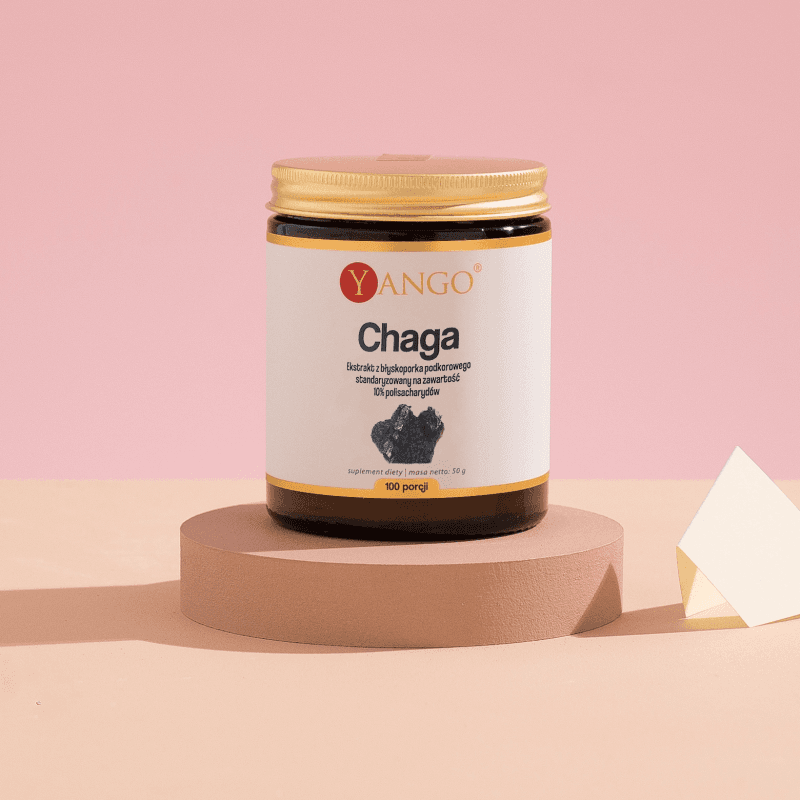 Chaga - ekstrakt 10% polisacharydów - 50 g