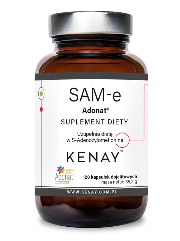 SAM-e S-Adenosyl-L-Methionine ADONAT – 120 kaps.